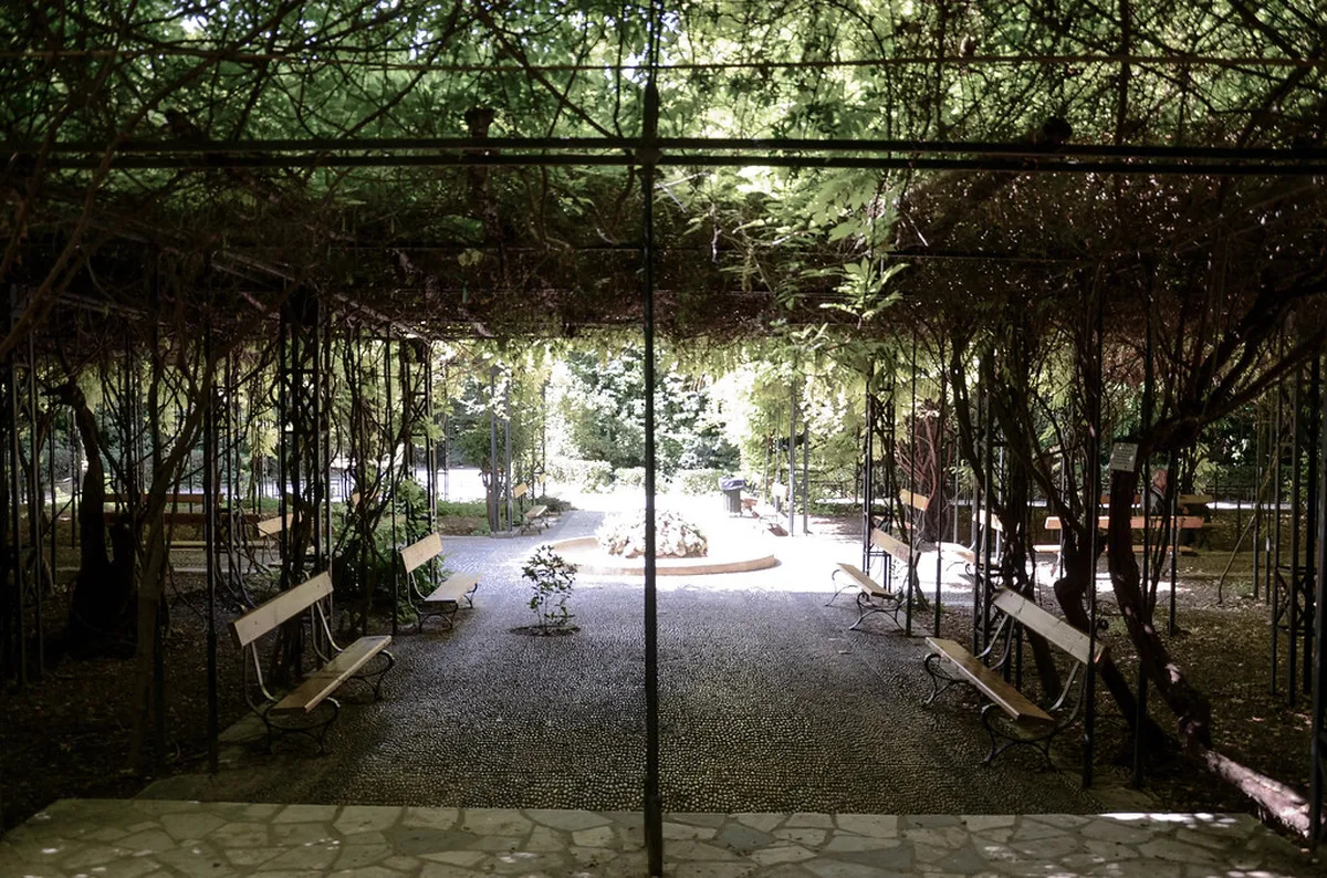 Your Athens Secret Gardens Guide for 2025